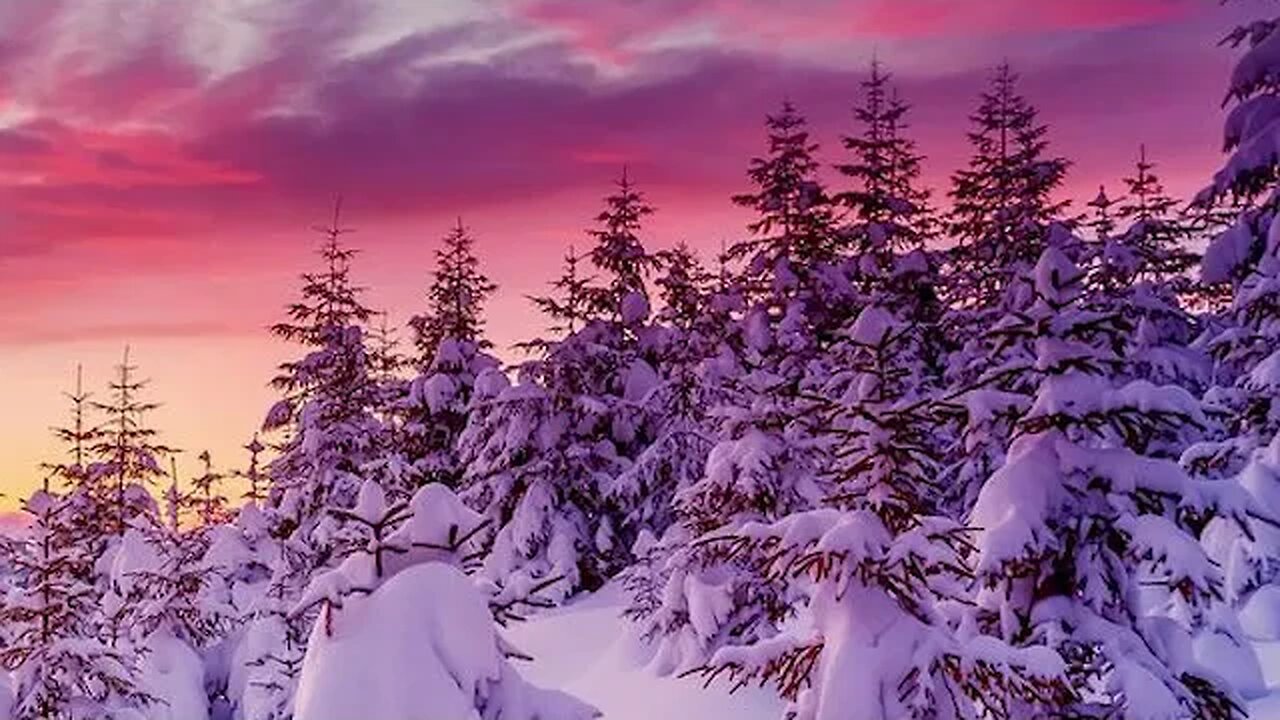 Harmony in Motion Dancing with Nature's Elements