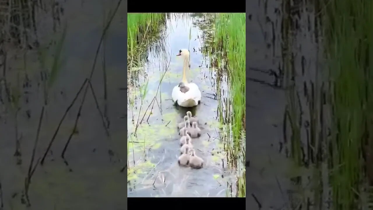 The coach and his team.. 😅