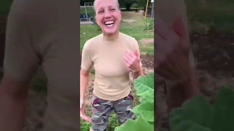 Jenny GOT Toooo EXCITED and HAVESTED A FIG, A BIT EARLY! 🧑‍🌾🌱🔪😂 #shorts #viral #tiktok