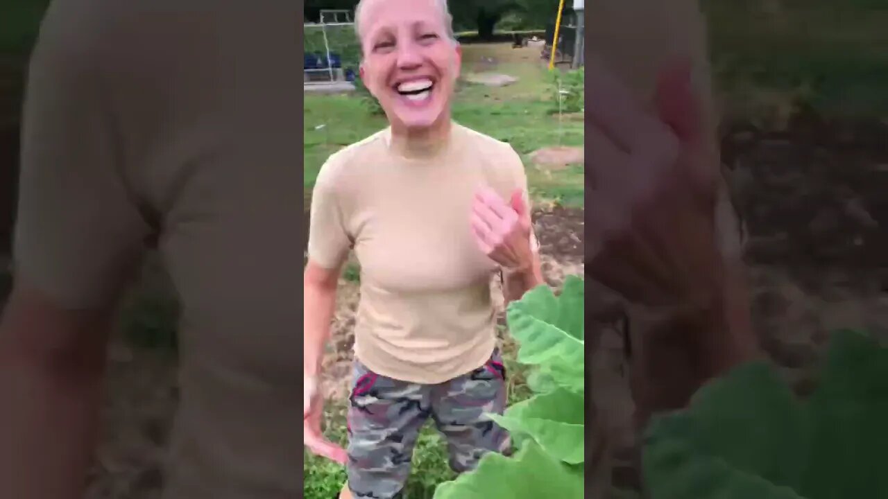 Jenny GOT Toooo EXCITED and HAVESTED A FIG, A BIT EARLY! 🧑‍🌾🌱🔪😂 #shorts #viral #tiktok