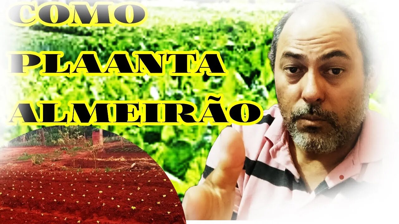 PLANTANDO ALMEIRÃO