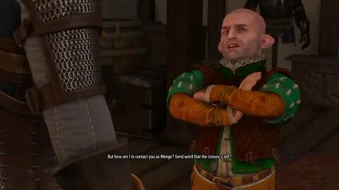 The Witcher 3: Wild Hunt Part 52-Bad Idea