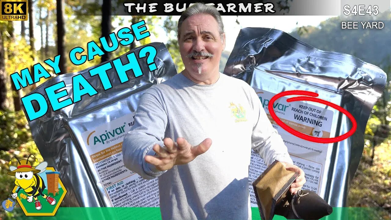 May Cause Death? Using Apivar Varroa Mite Treatment. #beekeeping #insects #bees #prepping