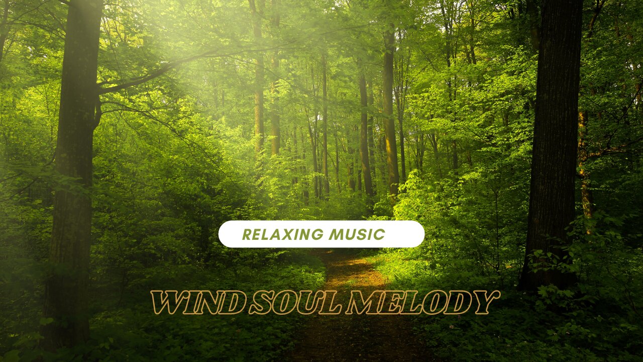 Wind Soul Melody Relaxing Music