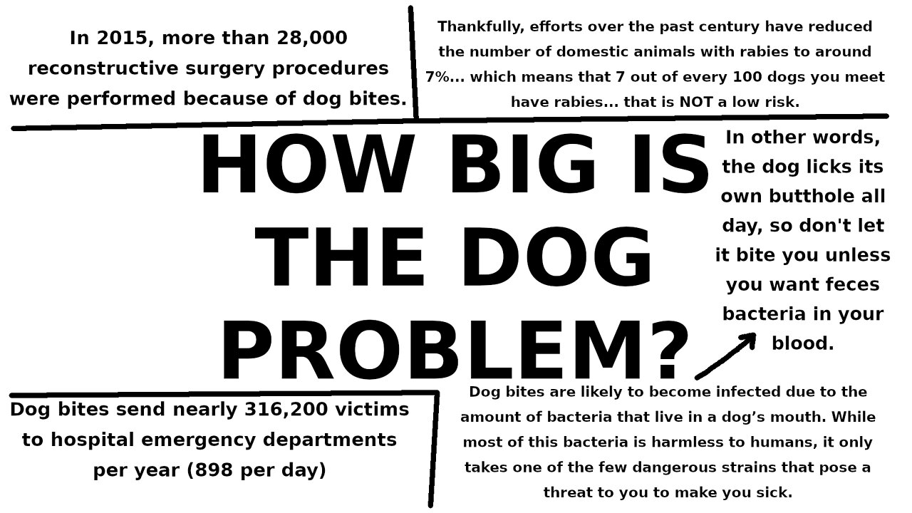 HOW BIG IS THE DOG PROBLEM?