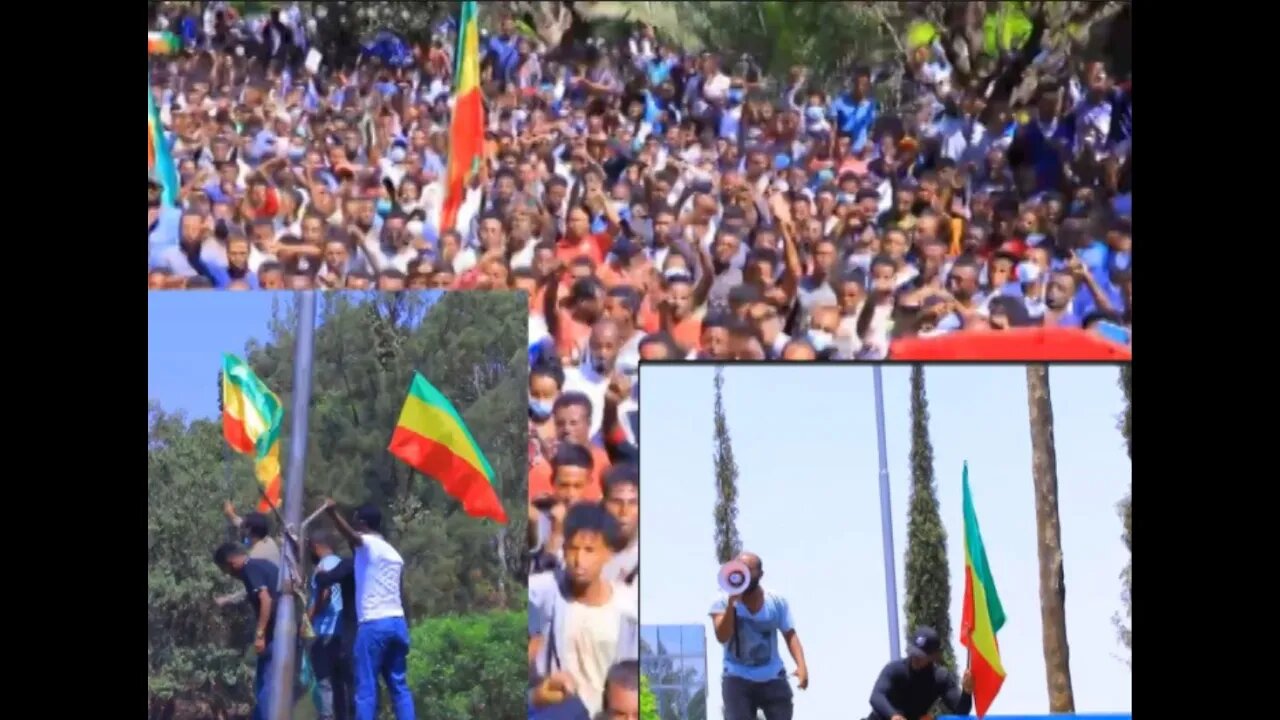 Ethio 360 ልዩ ዝግጀት በባህር ዳር የተካሄደ ሰልፍ ።