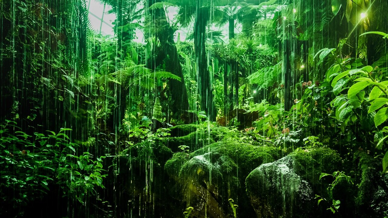 Relaxing Rain Sounds For Sleep - Heavy rain sounds in misty forest