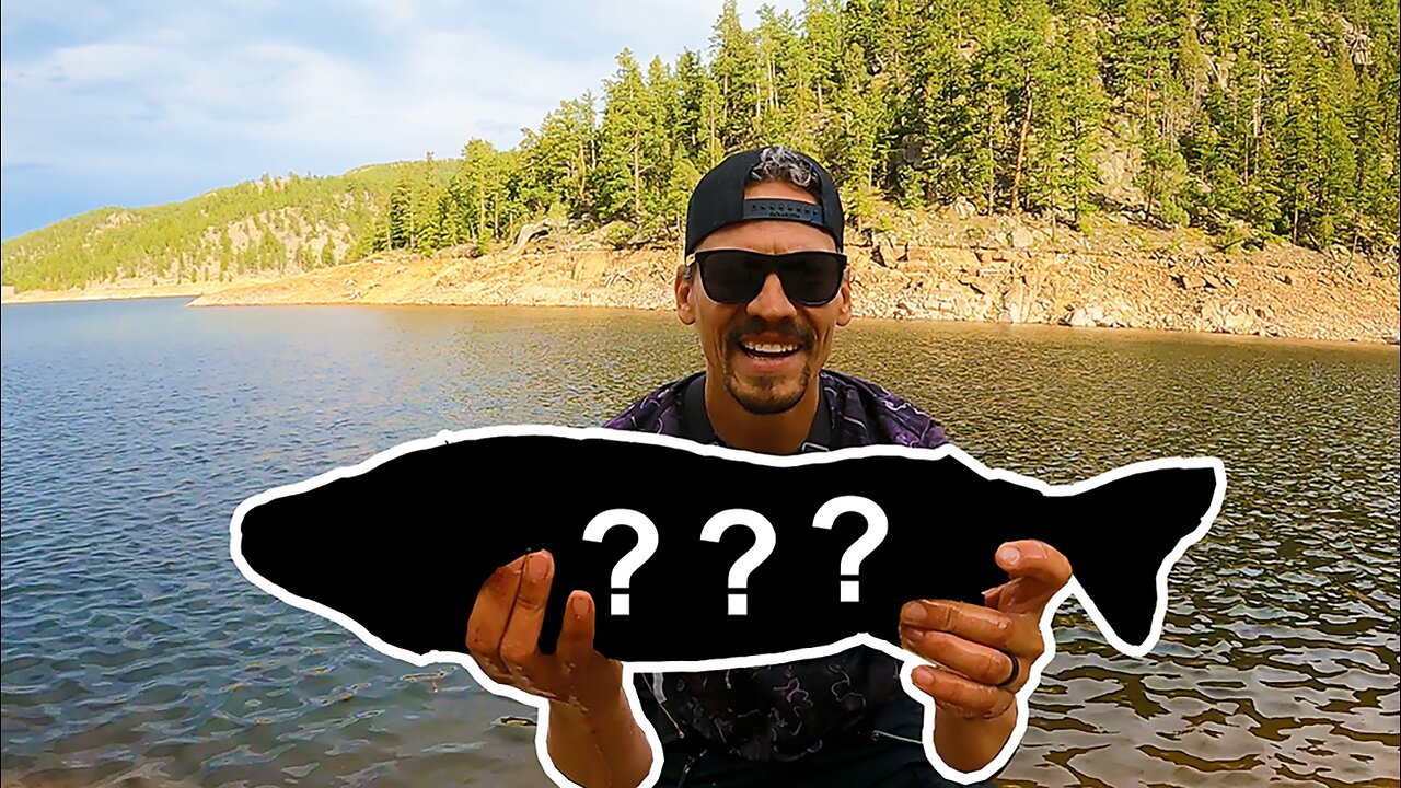 Catching Big Mystery Fish After Big Mystery Fish That Aren't Supposed To Be Here!