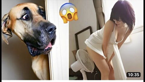 Another video for funniest dog