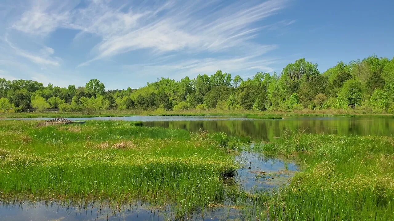 Okeeheepkee Prairie Preserve from the NE Dam - Springtime in Tallahassee 2022