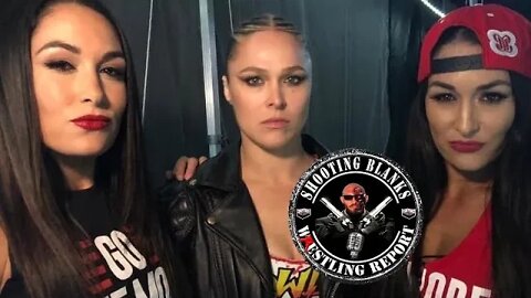 Ryback Thoughts on Bella Twins Statement About Ronda Rousey in New Book