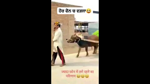 very funny video