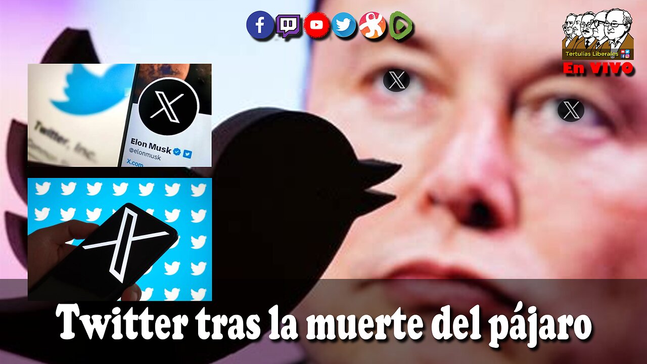 TWITTER tras la muerte del pájaro