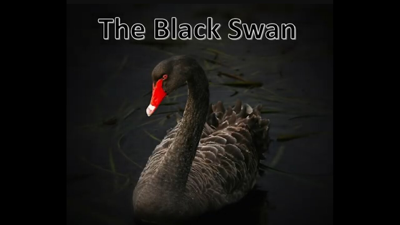 The Black Swan – An observation and its implications for a globe model