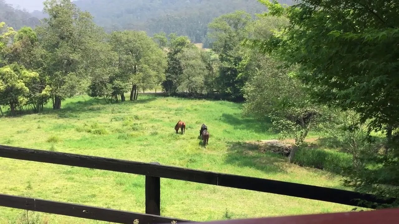 Watching the girls from the balcony