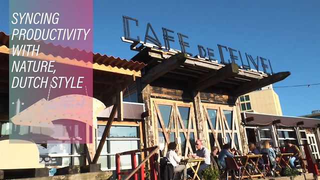 Why these Dutch youth are redesigning productivity