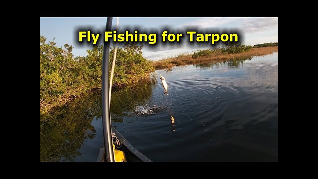 Everglades Fly Fishing Ep 4 | Tarpon Mayhem