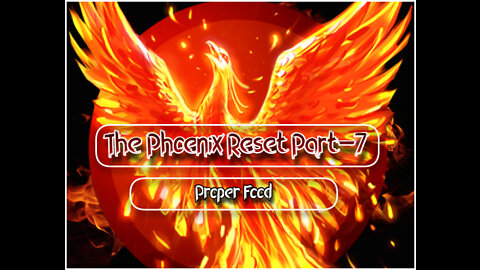 The Phoenix Phenomena Part-7