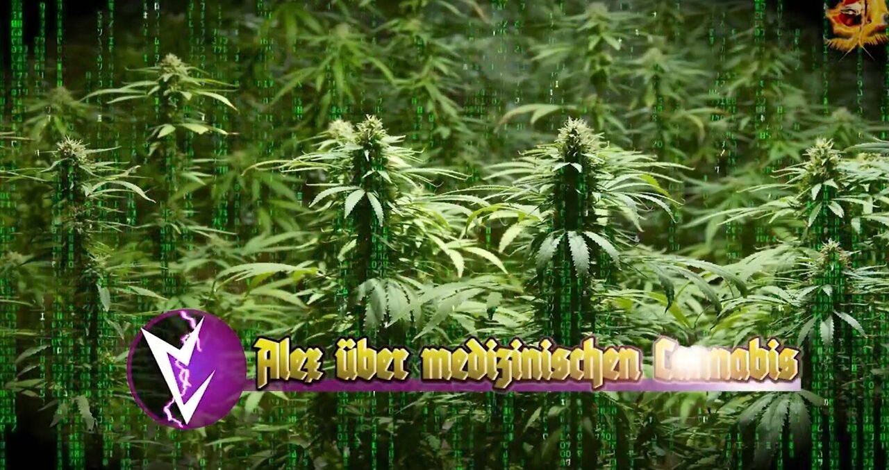 Alex über medizinischen Cannabis