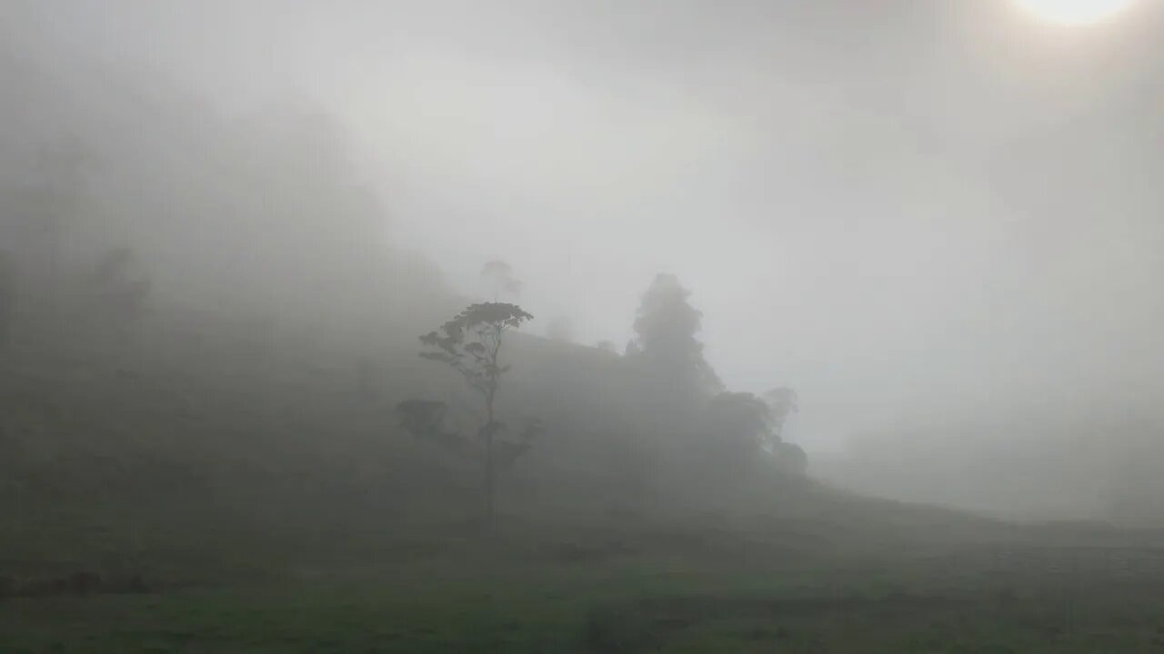 Morning mist still around at 8am Part II