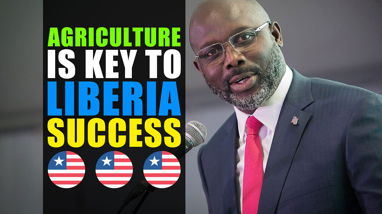 President George Weah says Agriculture Is Key To Liberia Success 🇱🇷🇱🇷 #liberia #monrovia #africa