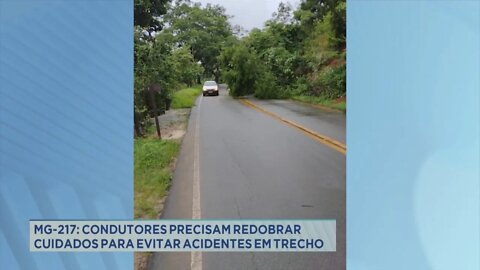 MG-217: condutores precisam redobrar cuidados para evitar acidentes em trecho