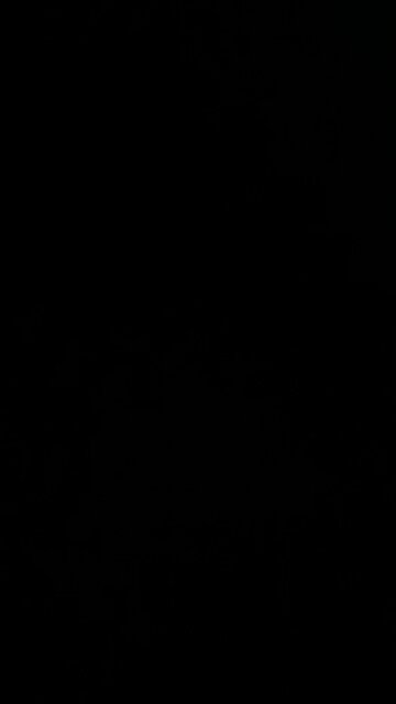 What I think about pizzerias