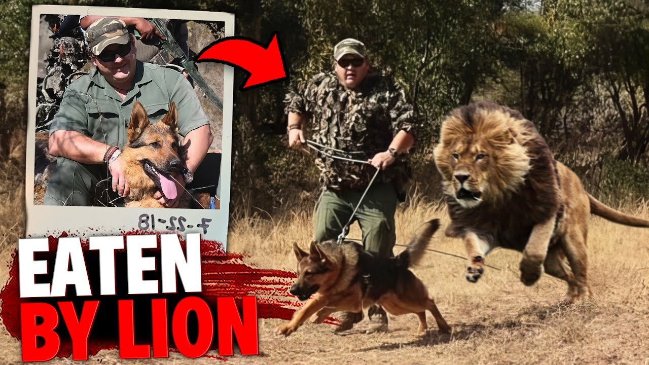 This Man & His Dog Are EATEN ALIVE By a Starving African Lion!