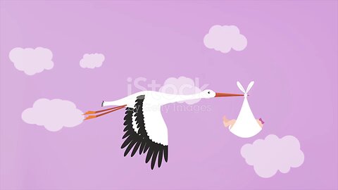 stork and crab