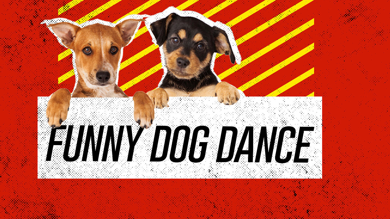Hilarious Dog in dancing mode