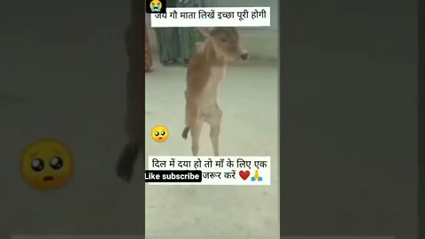 #drivingfails #shorts