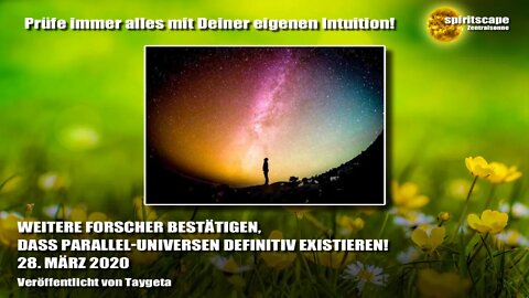 WEITERE FORSCHER BESTÄTIGEN, DASS PARALLEL-UNIVERSEN DEFINITIV EXISTIEREN! - Transinformation