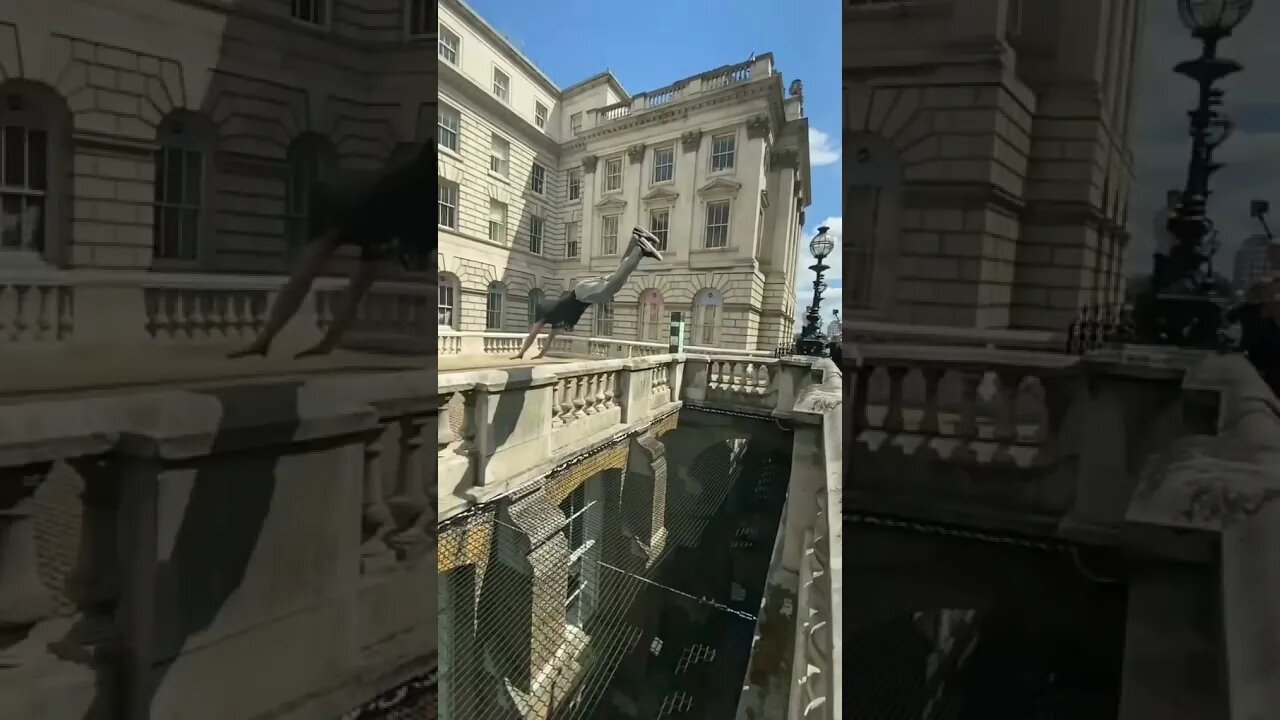 Rate 1-5 😍😍 #shorts