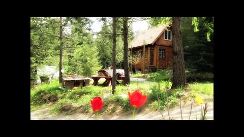 SOLD!! Strawberry Mountain Farm (10 acres) and Tiny House