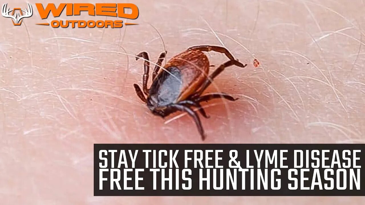 Stay Tick Free and Lyme Disease Free This Hunting Season