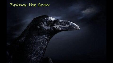 Branko Barkić war live.