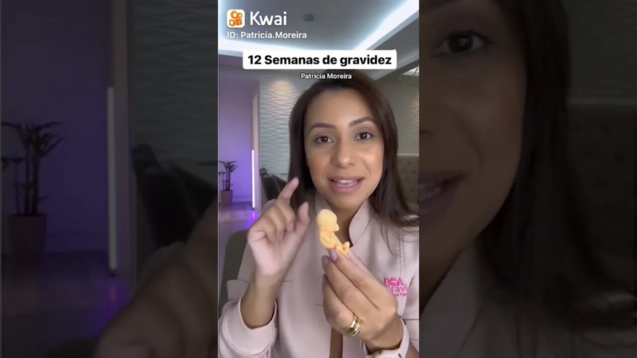 12 Semanas de gravidez