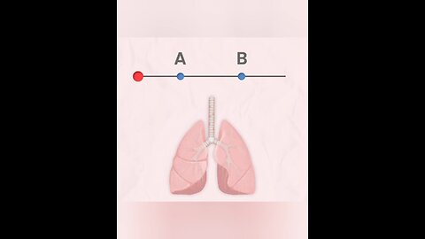 test your lungs 🫁