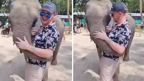 Lucky tourist gets heartwarming hug from elephant