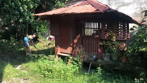 Cleaning the yard at the old house