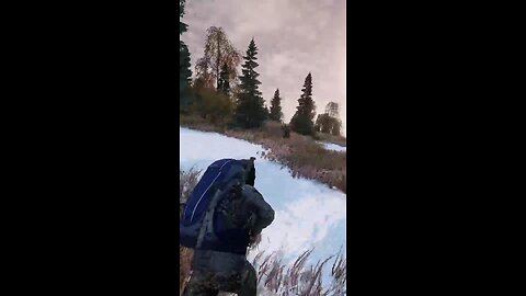 DayZ: Hunting Reindeer
