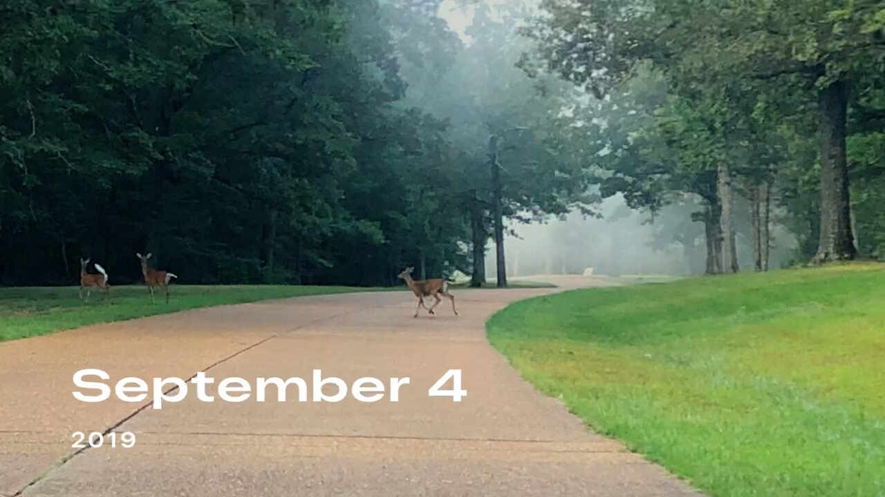 Corinthian Recumbent - Shiloh National Military Park