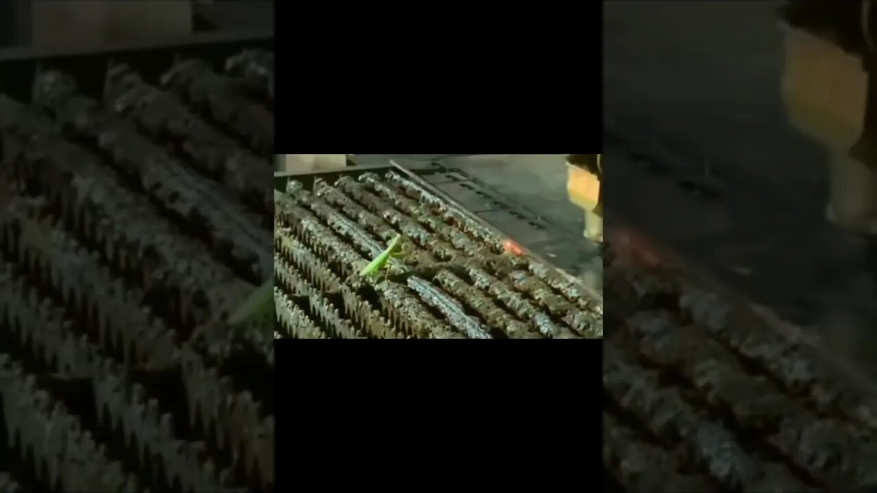 Lucky or skill ? #SHORTS