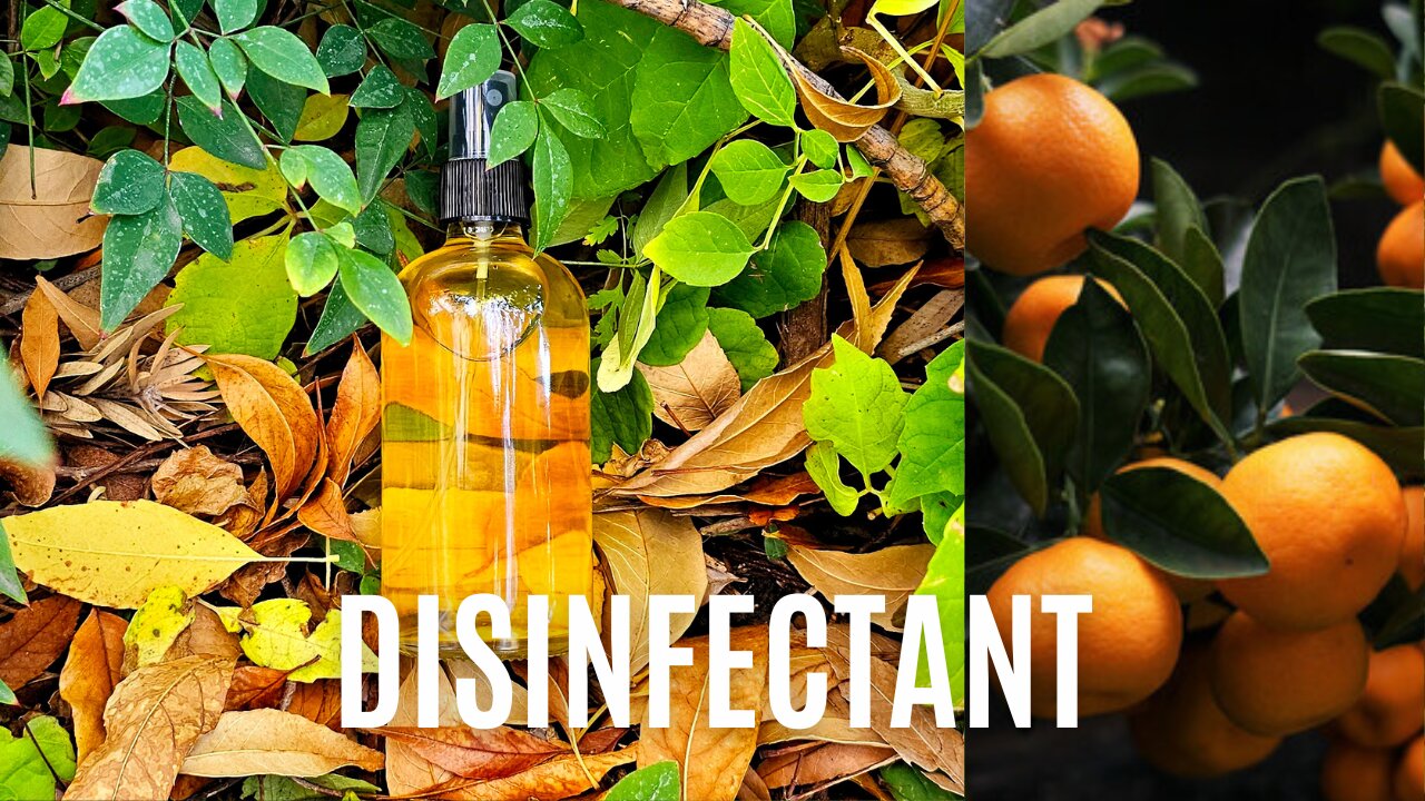 Citric Disinfectant Recipe - Pachamama Is Mother Earth🌱