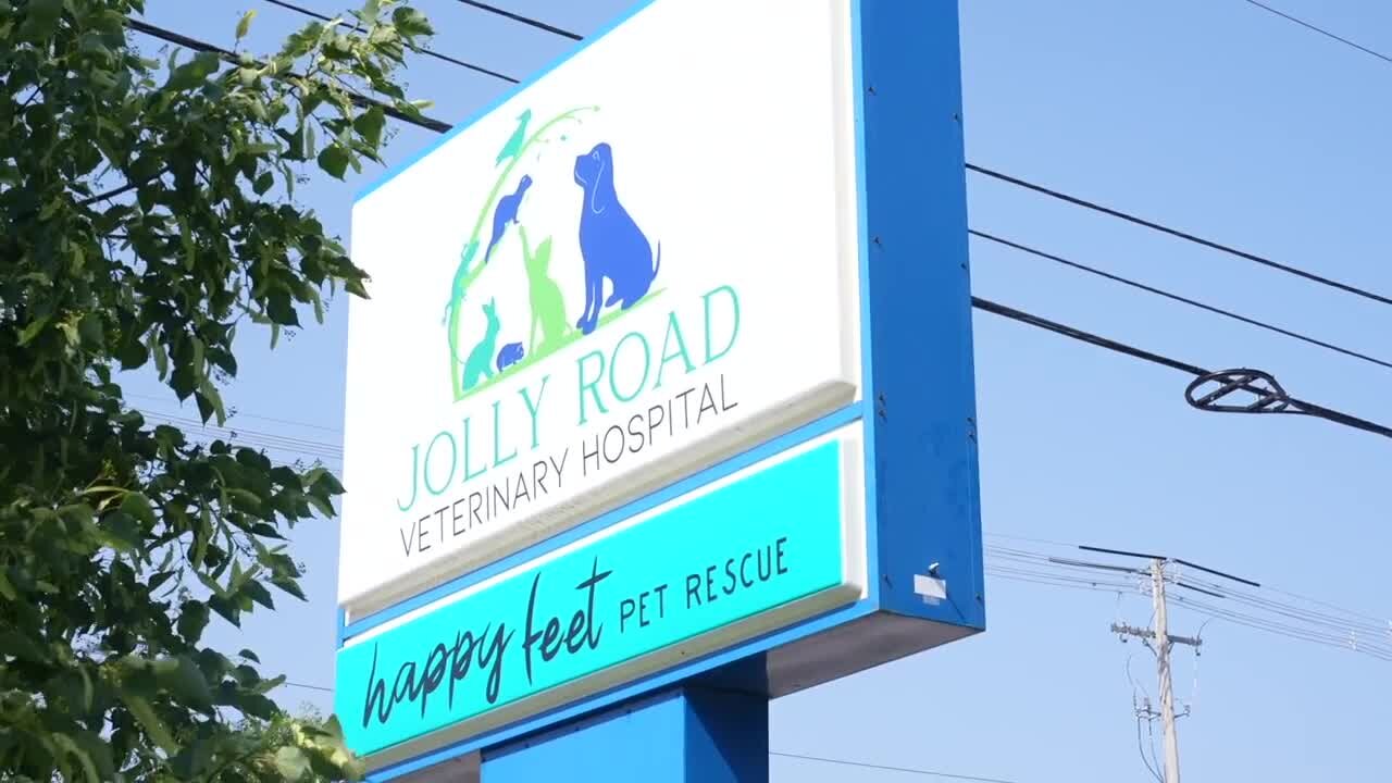 Happy Feet Pet Rescue gets a new home in Delhi Township