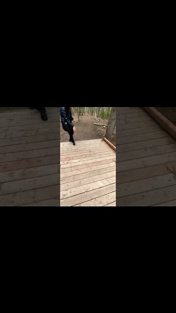 Attack of the squirrels!!