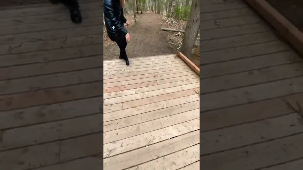 Attack of the squirrels!!