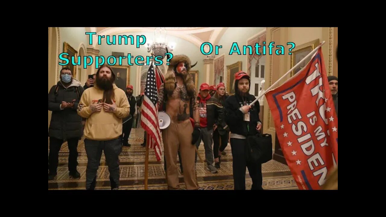 Antifa Posed as DC Protestors?