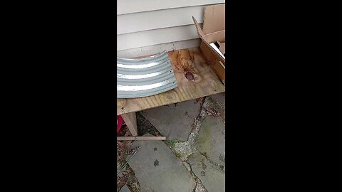 looks small for a raised garden bed