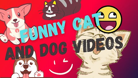 Funny Cats and Dogs Videos - Funniest Animal Videos 2023!